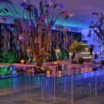 Tampo de Vidro Transparente com Base Curva Cristal