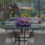 Tampo Laca com Base Jockey