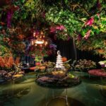 Tampo de Vidro Transparente com Base Curva Cristal